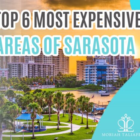 The Best Pocket Parks in Sarasota